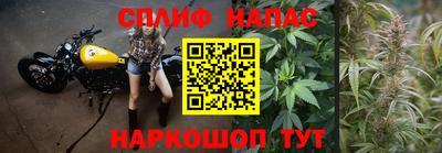 СК Славянск-на-Кубани