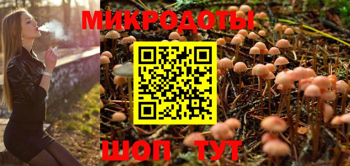 Галлюциногенные грибы прущие грибы Лабинск